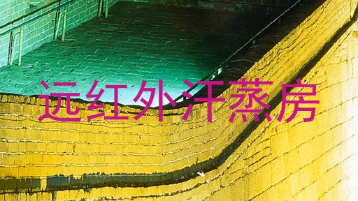 远红外汗蒸房