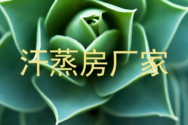 汗蒸房厂家