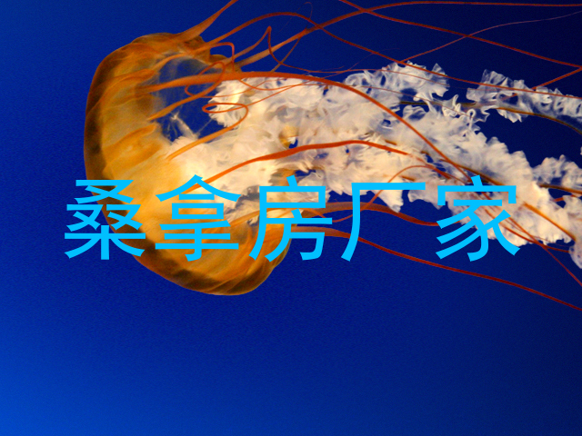 桑拿房厂家