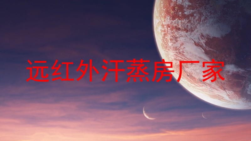 远红外汗蒸房厂家