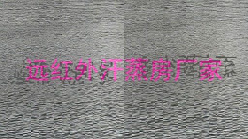 远红外汗蒸房厂家