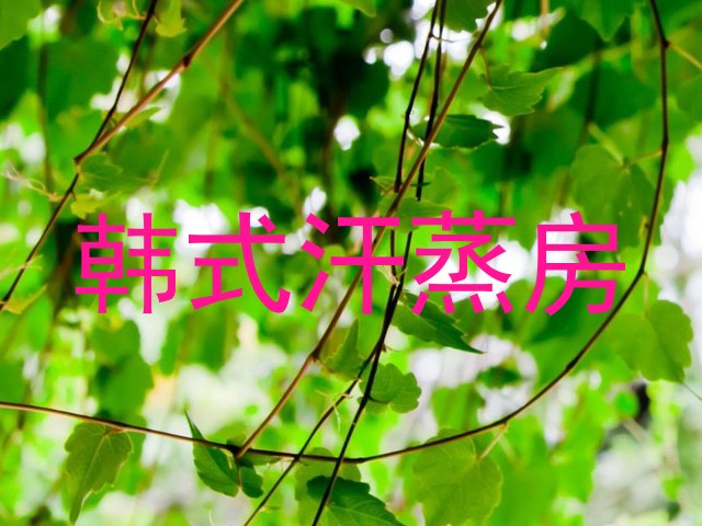 韩式汗蒸房