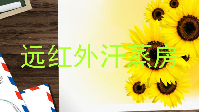远红外汗蒸房