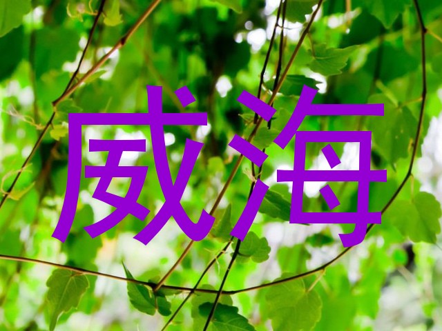 威海