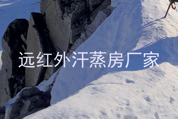 远红外汗蒸房厂家