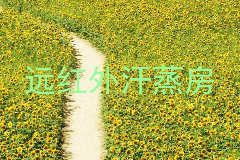 远红外汗蒸房