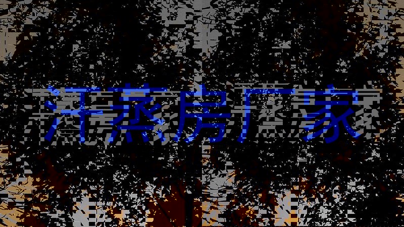 汗蒸房厂家