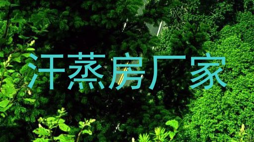 汗蒸房厂家