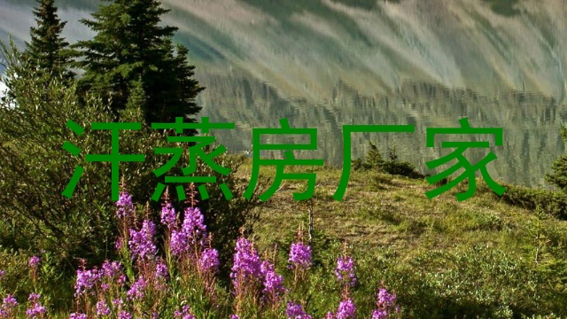 汗蒸房厂家
