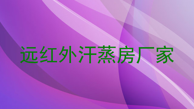 远红外汗蒸房厂家