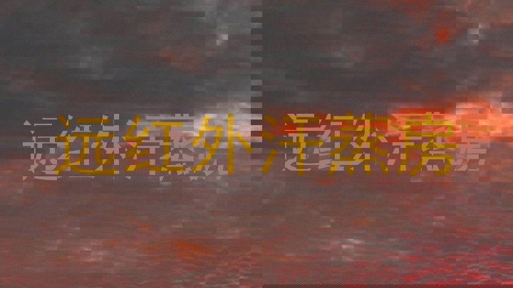 远红外汗蒸房
