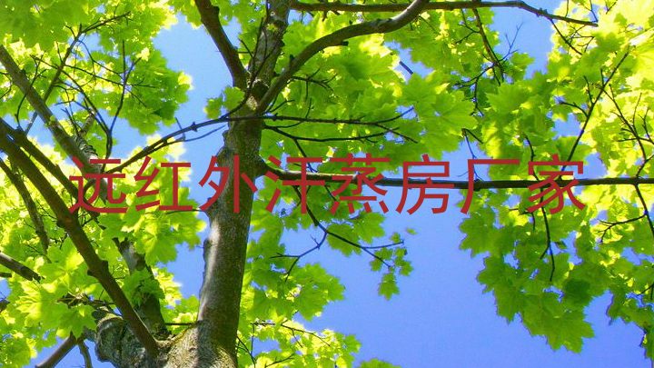 远红外汗蒸房厂家