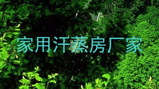 家用汗蒸房厂家