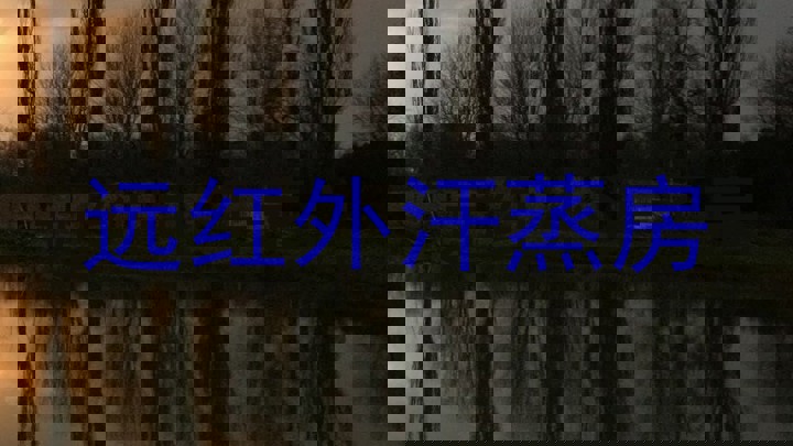 远红外汗蒸房