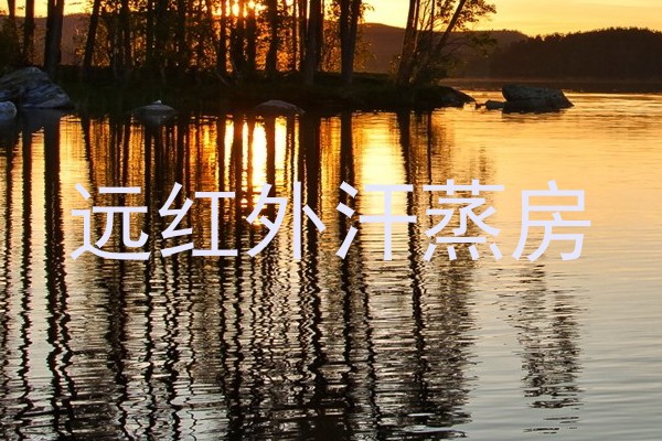 远红外汗蒸房