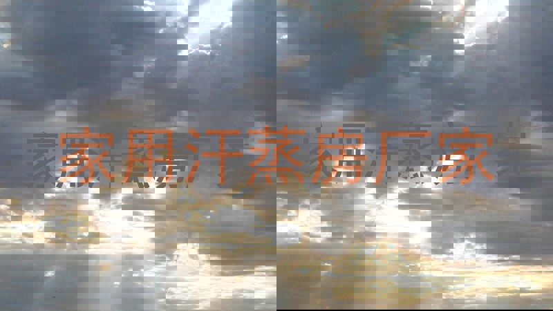 家用汗蒸房厂家