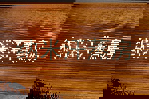 纳米汗蒸房