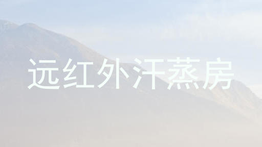 远红外汗蒸房
