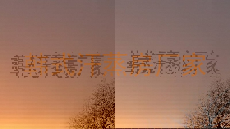 韩式汗蒸房厂家