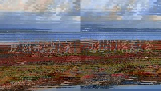 远红外汗蒸房厂家