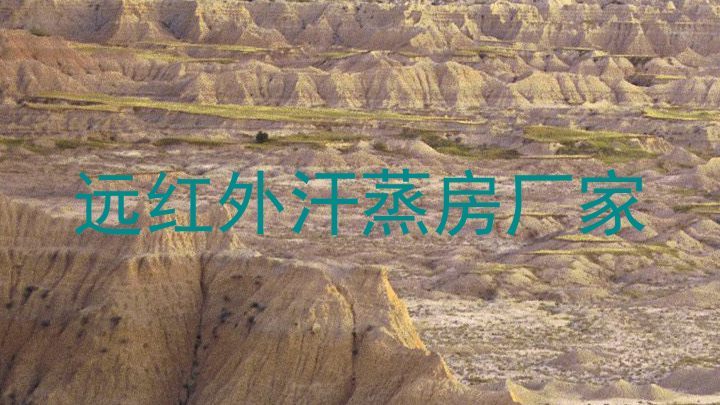 远红外汗蒸房厂家