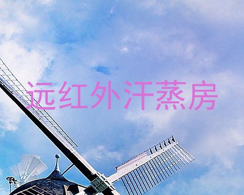 远红外汗蒸房