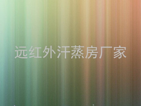 远红外汗蒸房厂家