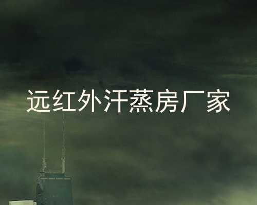 远红外汗蒸房厂家