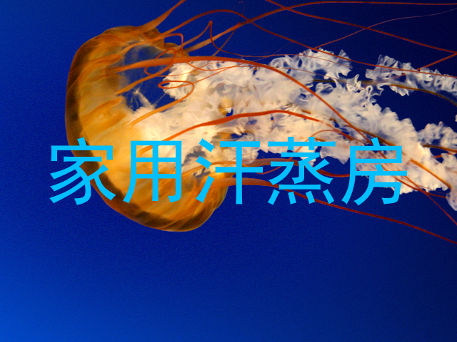 家用汗蒸房