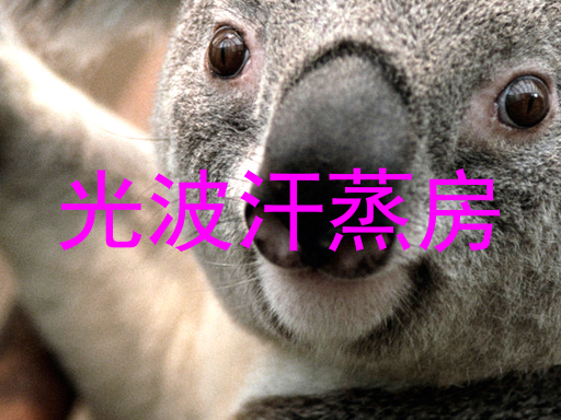 光波汗蒸房