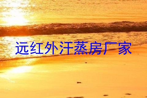 远红外汗蒸房厂家