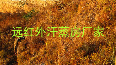 远红外汗蒸房厂家