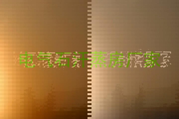 电气石汗蒸房厂家