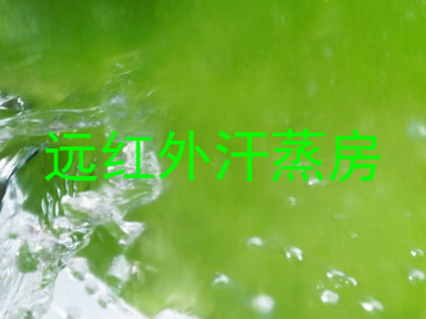 远红外汗蒸房