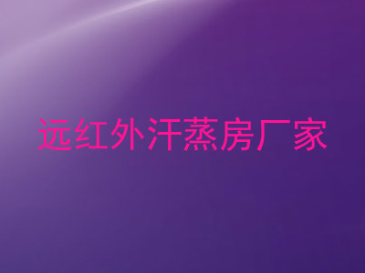 远红外汗蒸房厂家