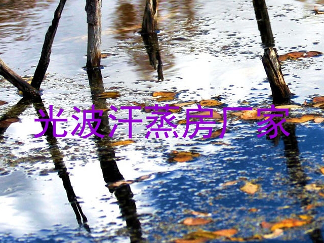 光波汗蒸房厂家