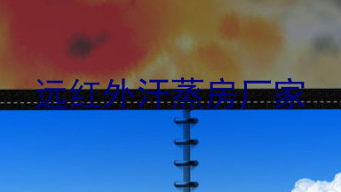 远红外汗蒸房厂家