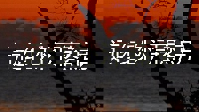 远红外汗蒸房