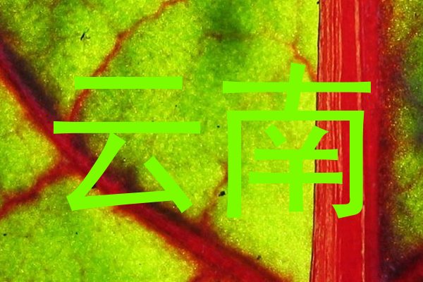 云南