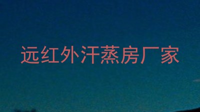 远红外汗蒸房厂家