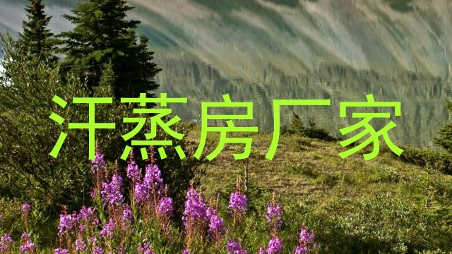 汗蒸房厂家