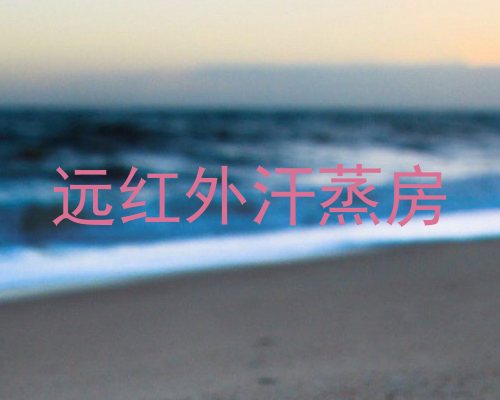 远红外汗蒸房