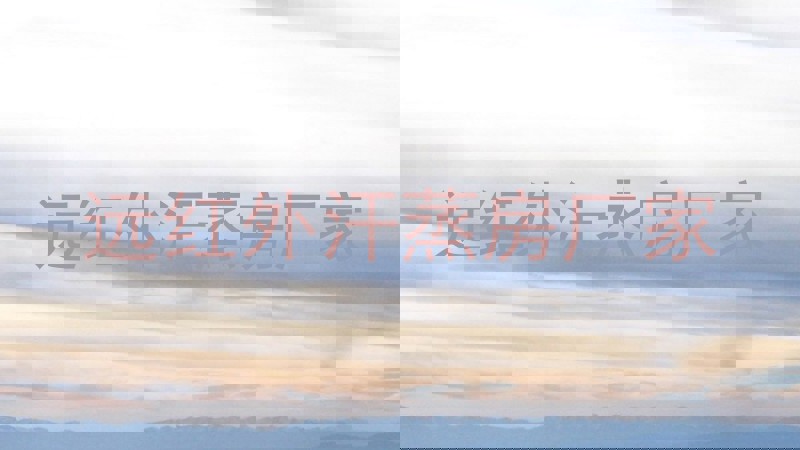 远红外汗蒸房厂家