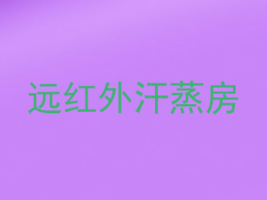 远红外汗蒸房