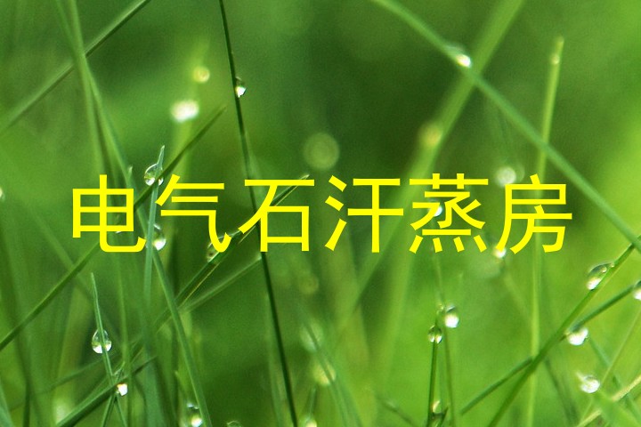 电气石汗蒸房