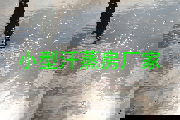 小型汗蒸房厂家