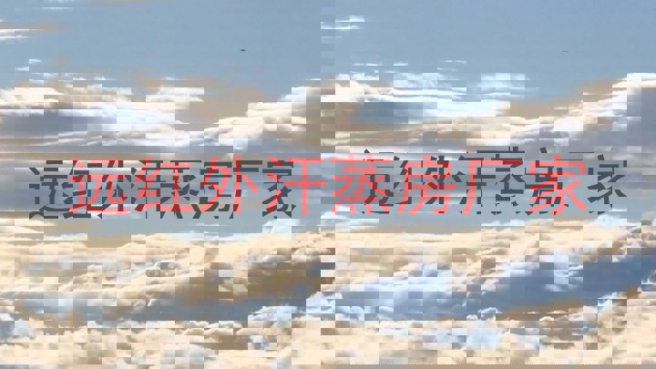 远红外汗蒸房厂家