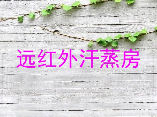 远红外汗蒸房