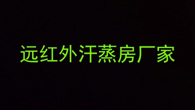 远红外汗蒸房厂家