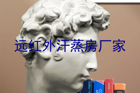 远红外汗蒸房厂家